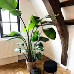 Nammos Home\'S